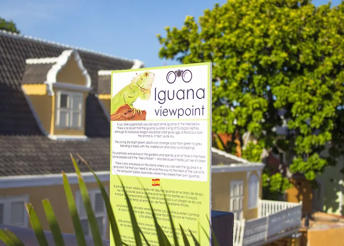  Curacao Suites